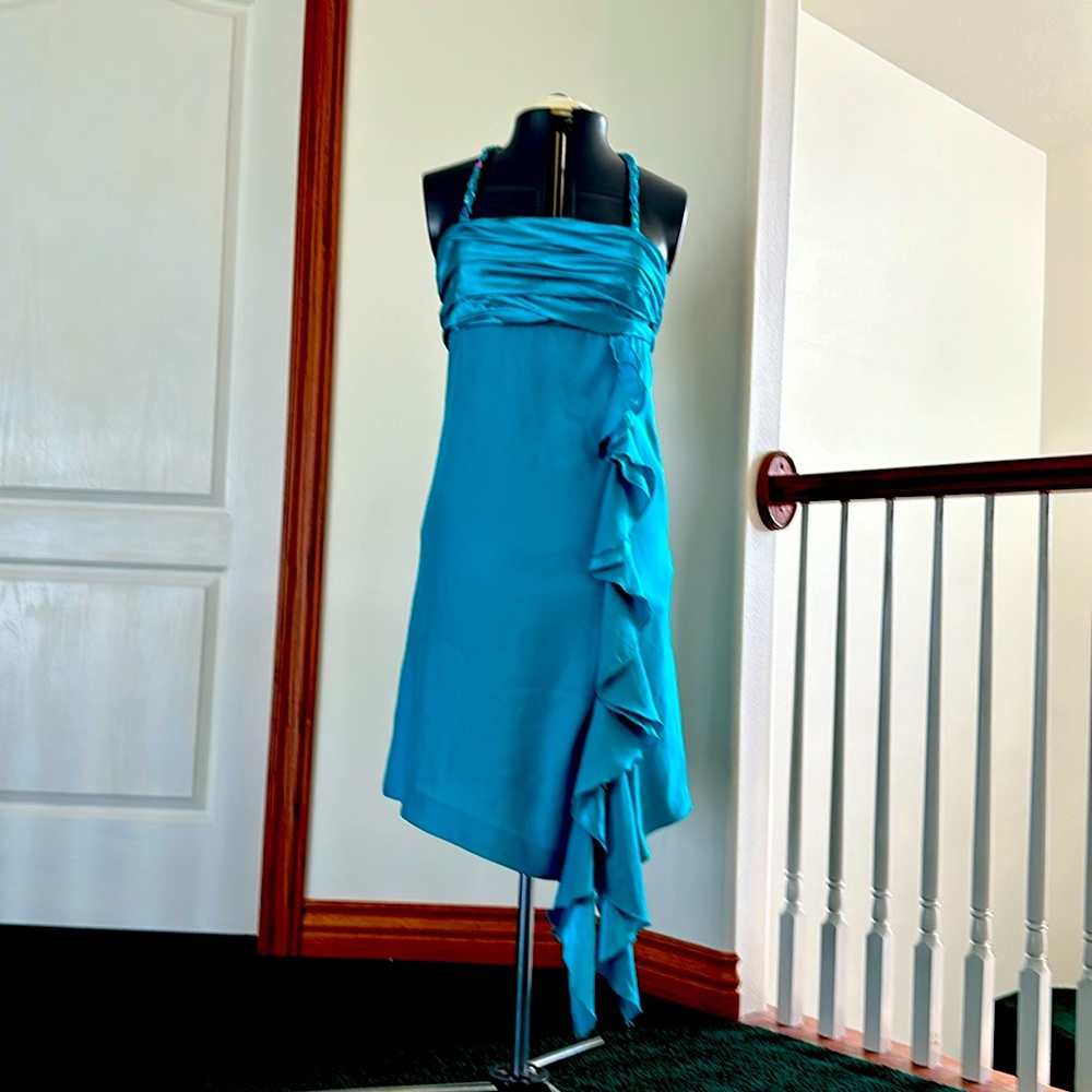 The turquoise dress, for any occasion.